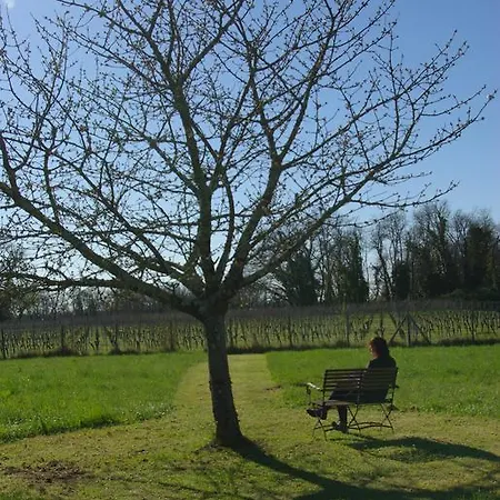 Domaine De Bel Air Carpe Diem