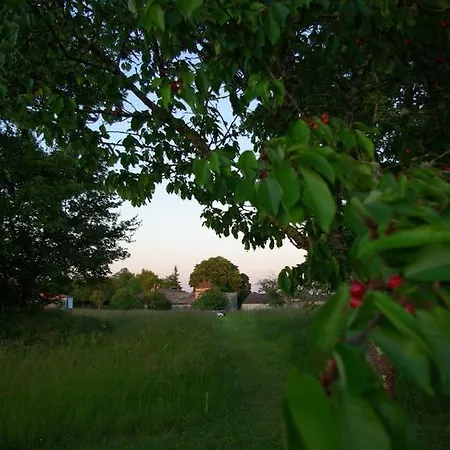 Domaine De Bel Air Carpe Diem Tizac-de-Curton